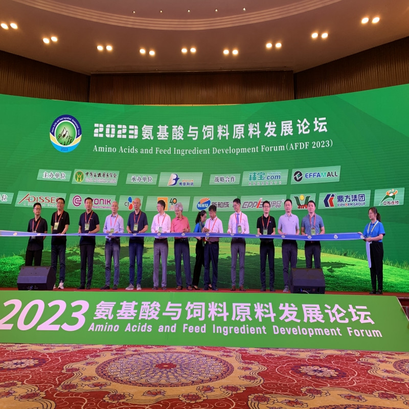 ���ڹ��ʼ���������������̳