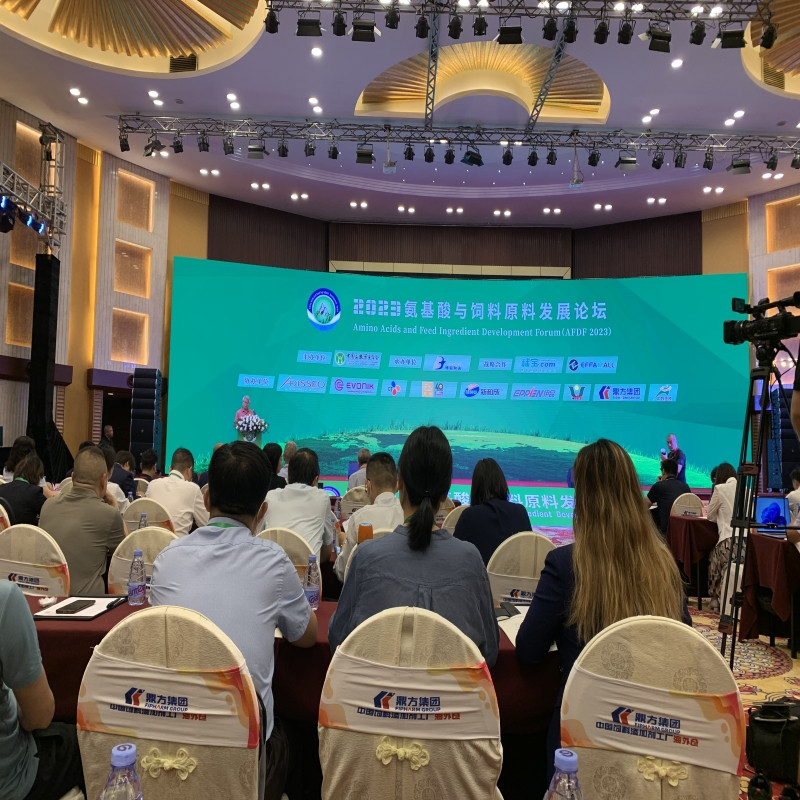 ���ڹ��ʼ���������������̳